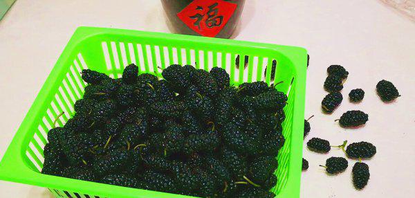 春天有什么水果成熟了