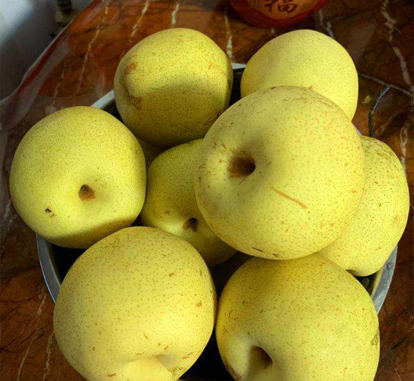 春天有什么水果成熟了