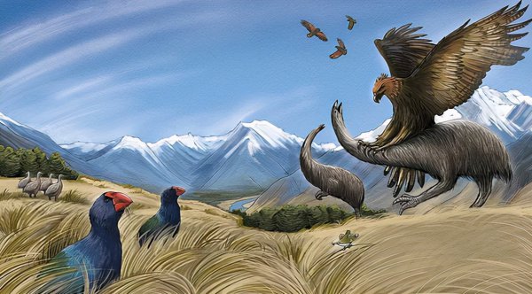 哈斯特巨鹰是不是真的很可怕