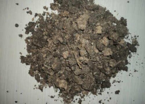 鸟粪可以做肥料吗