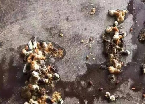 鸟粪可以做肥料吗