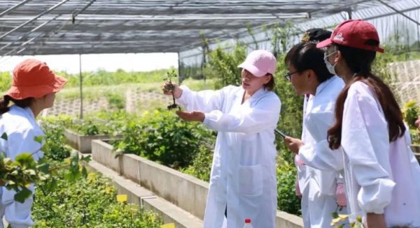 南京林业大学学科评估