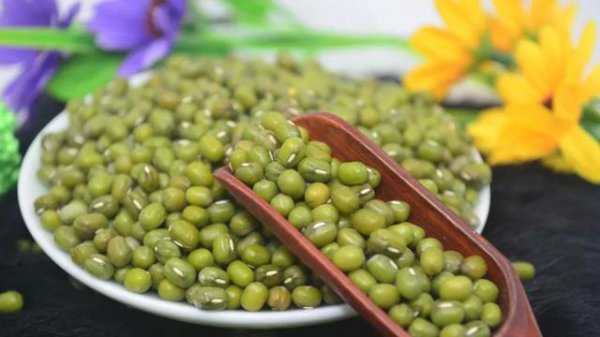 绿豆什么时候收割最适宜