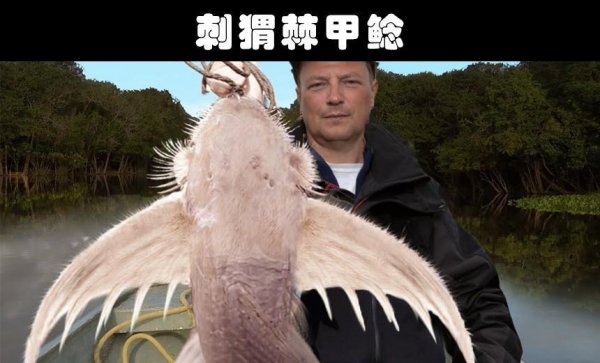 水生动物有哪些