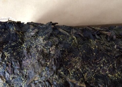 黑茶属于什么茶种