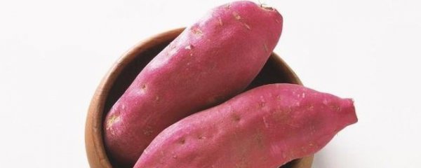 生地瓜能生吃吗