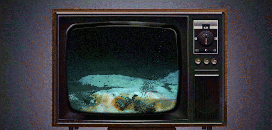 我国首次在哪里发现可燃冰