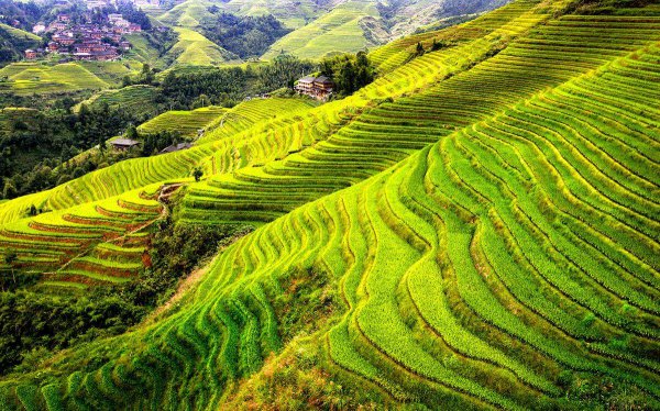 广西特色美食小吃排名