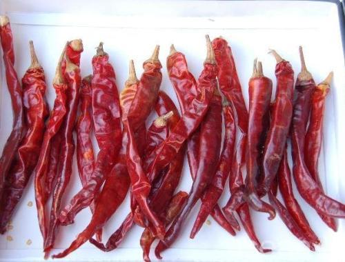 济宁特产有哪些好吃的