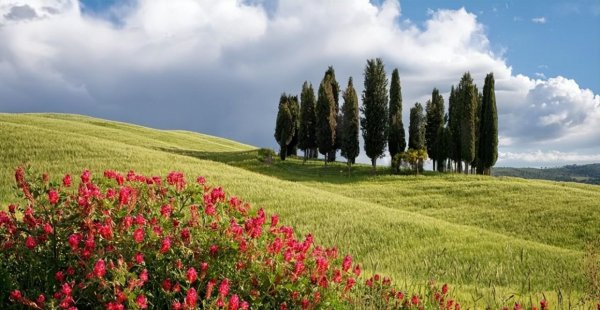 射手女聪明不是一般人能比