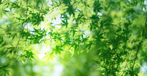 射手女聪明不是一般人能比