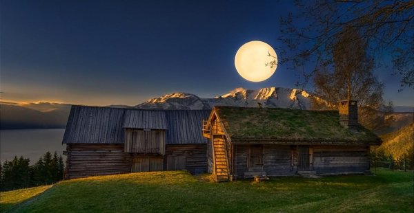 射手女聪明不是一般人能比