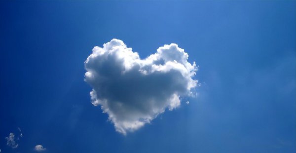 射手女聪明不是一般人能比