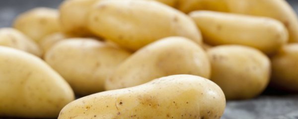 北方冬季储存土豆的方法