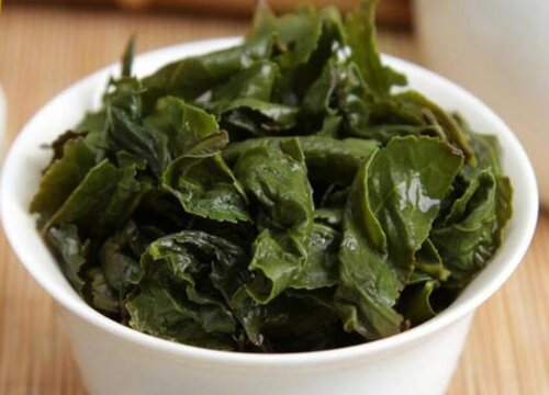 喝过的茶叶可以做肥料吗