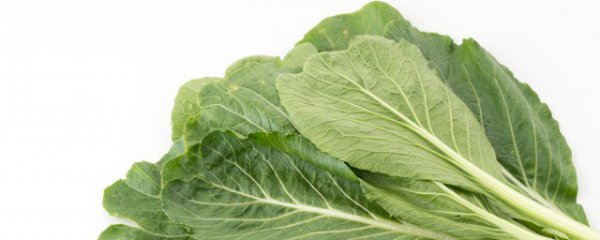 梅菜是用什么青菜做的