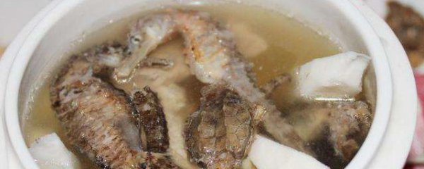 海马食用方法和禁忌