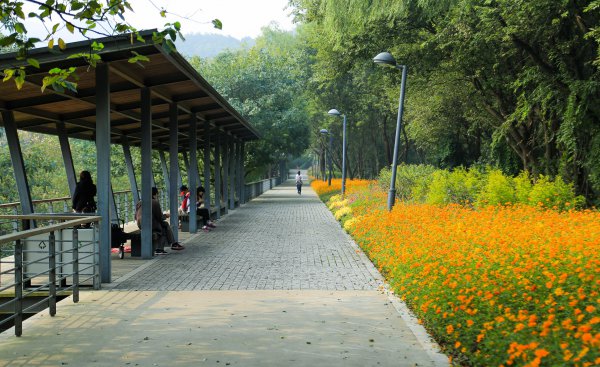 杭州有什么好玩的地方