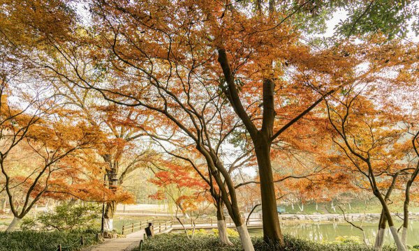 杭州有什么好玩的地方