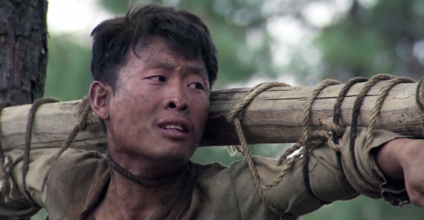 中国十大电视剧排行榜