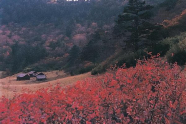 重庆最高的山是哪一座山