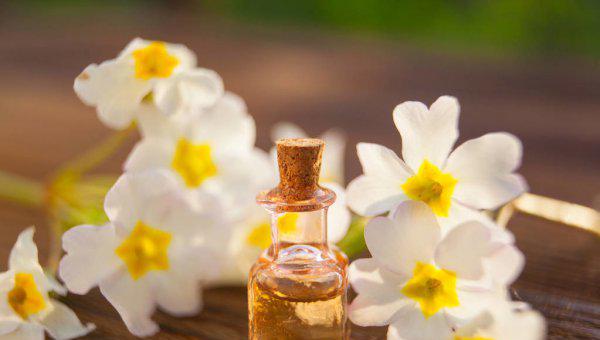 精华液的主要成分是什么