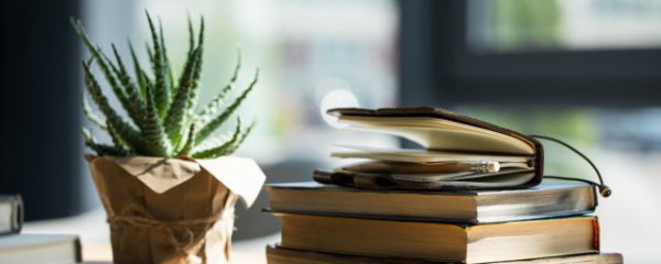 卧室里面放什么植物好