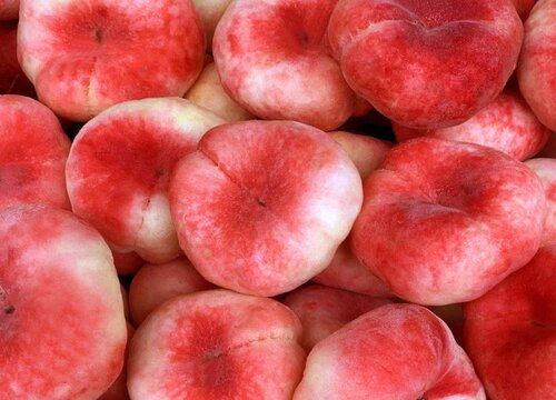 蟠桃哪个品种最好吃