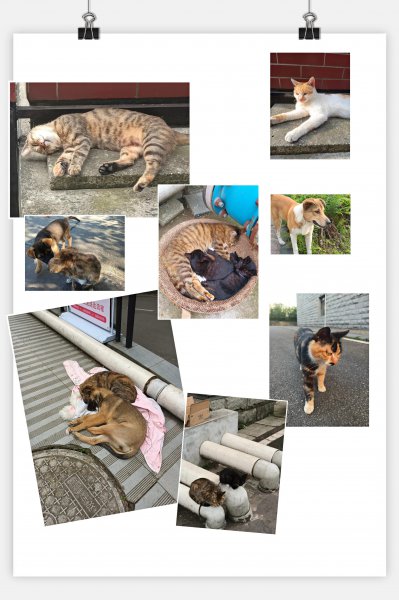 西南财大天府学院好吗