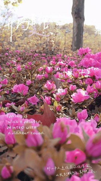 西南财大天府学院好吗