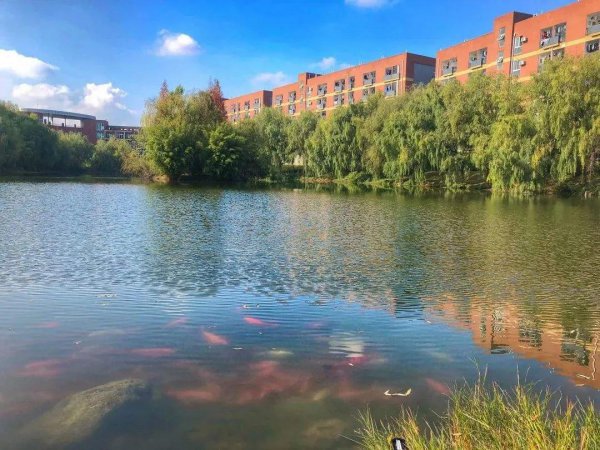 西南财大天府学院好吗