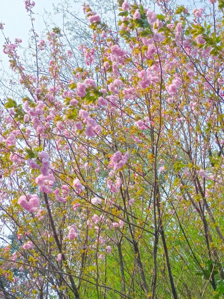 西南财大天府学院好吗