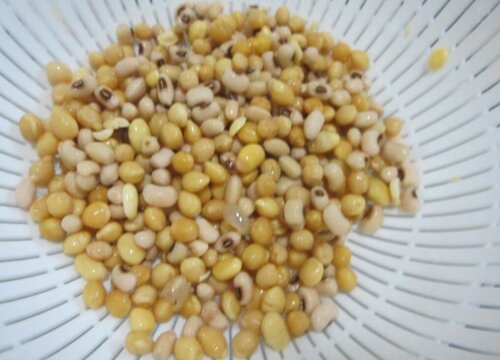 烂黄豆可以做肥料吗