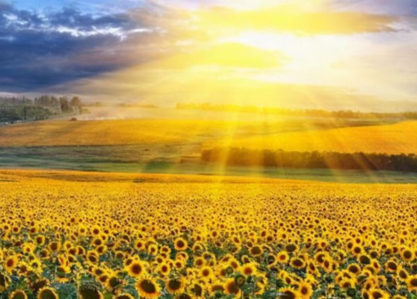 如何发泄负面情绪心得体会