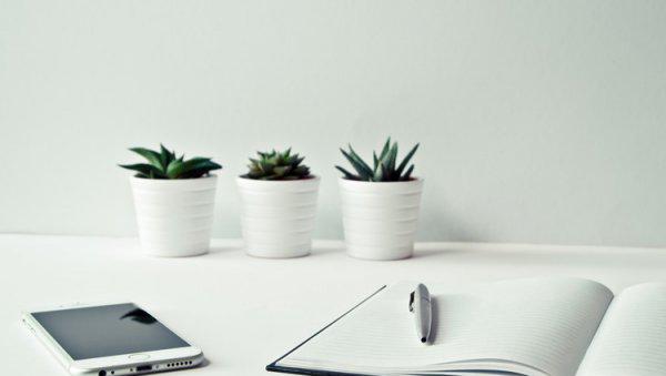 在家做什么赚钱