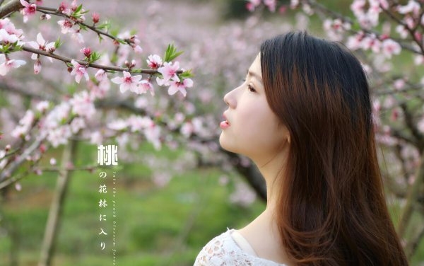 女人走桃花运什么意思