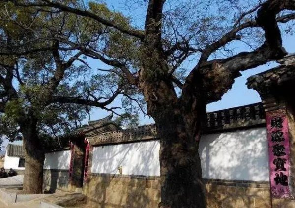 大门两旁不能有两棵树图解