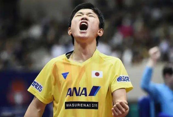 张本智和回四川被拒