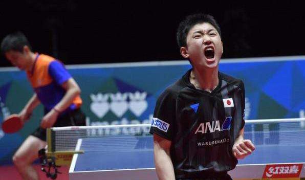 张本智和回四川被拒