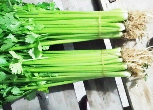 西芹需要去皮吗