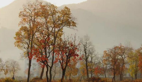 性格内向的人适合什么职业