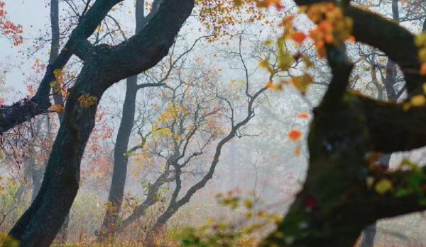 性格内向的人适合什么职业