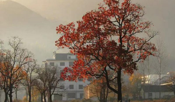 性格内向的人适合什么职业