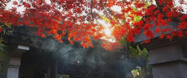 性格内向的人适合什么职业