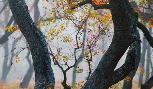 性格内向的人适合什么职业