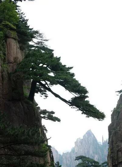 人需要血性是什么意思