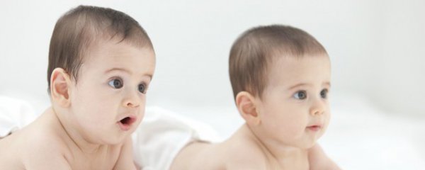 属猴人生的几月出生最好命