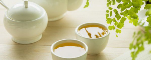 天福茶叶产地什么地方