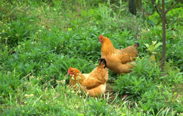 软磨硬泡什么意思