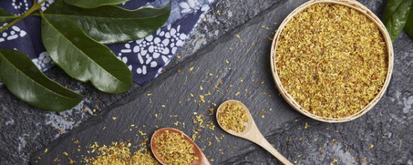 桂花可以直接泡茶喝吗